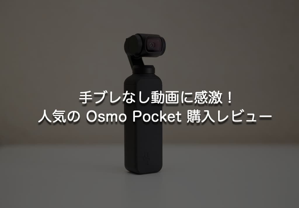 手ブレなし動画に感激！人気のOSMO Pocket（オズモポケット）購入レビュー